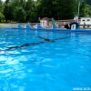 Froda_2017(65)