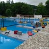Froda_2017(92)