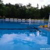 Froda_2017(93)