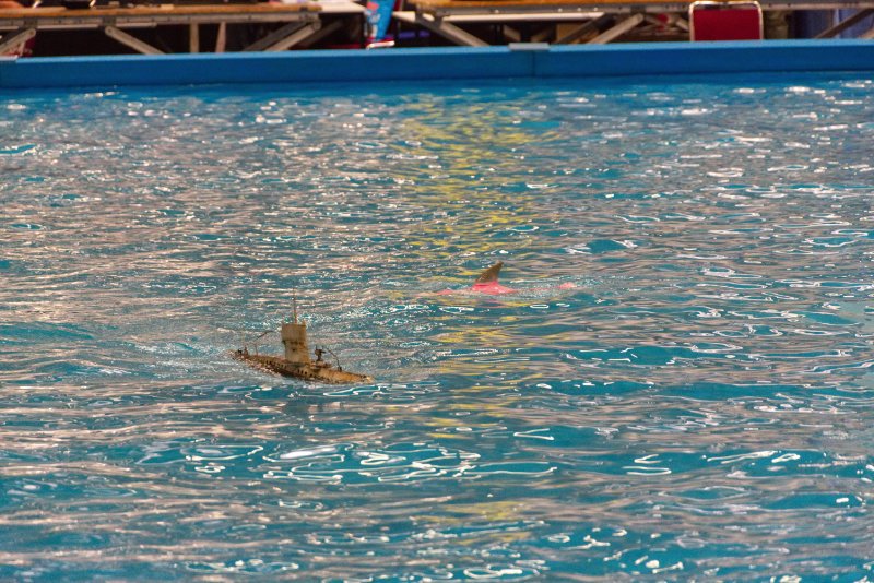 dsc_0060