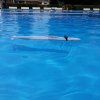 img_20180531_120012