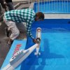 img_20180602_132942