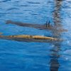 img_20180602_171410