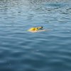 img_20180721_113048