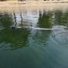 img_20180722_124348