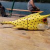 img_20180722_131447