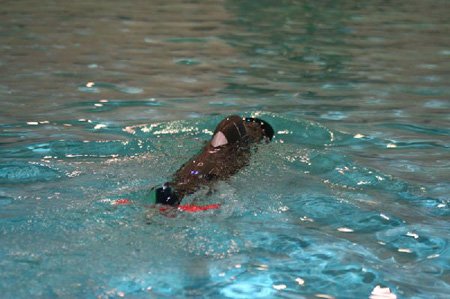 22_11_08_bremen038