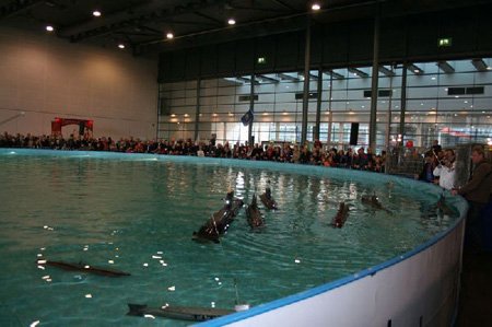 22_11_08_bremen047