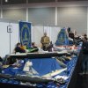 friedrichsfafen_2008_005_1