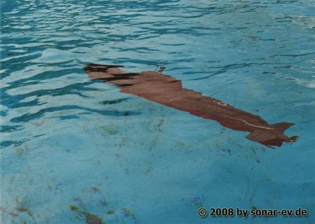 kl-2008_mauro_040