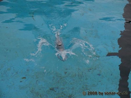 kl_2008_026