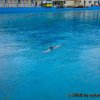kl_2008_004