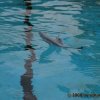 kl_2008_027