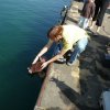 koln_2008_004