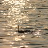 koln_2008_014