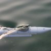 koln_2008_015