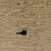 koln_2008_016
