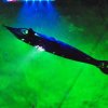 koln_2008_021
