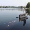 koeln