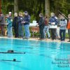 osterwald_2008_003